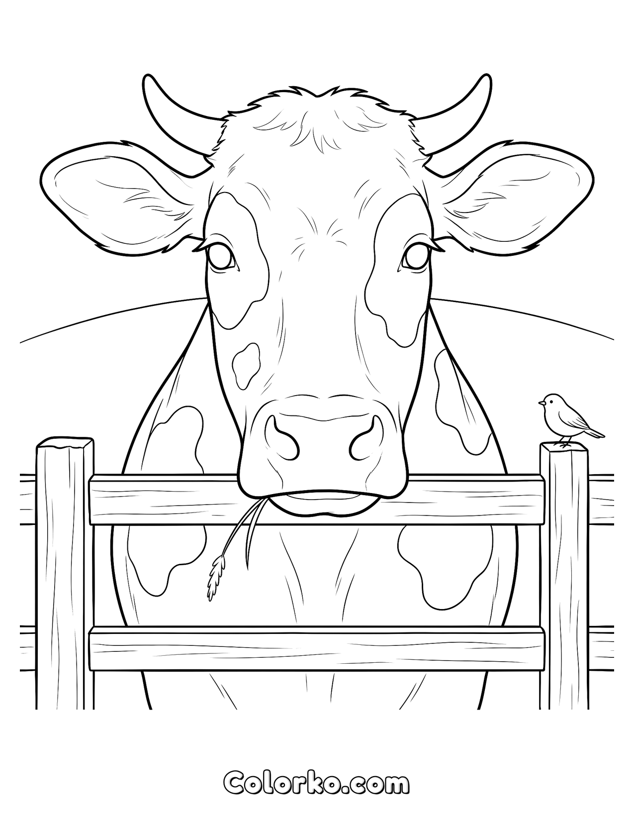 Cow Coloring Page — Peeking Over a Fence (Free) | Colorko