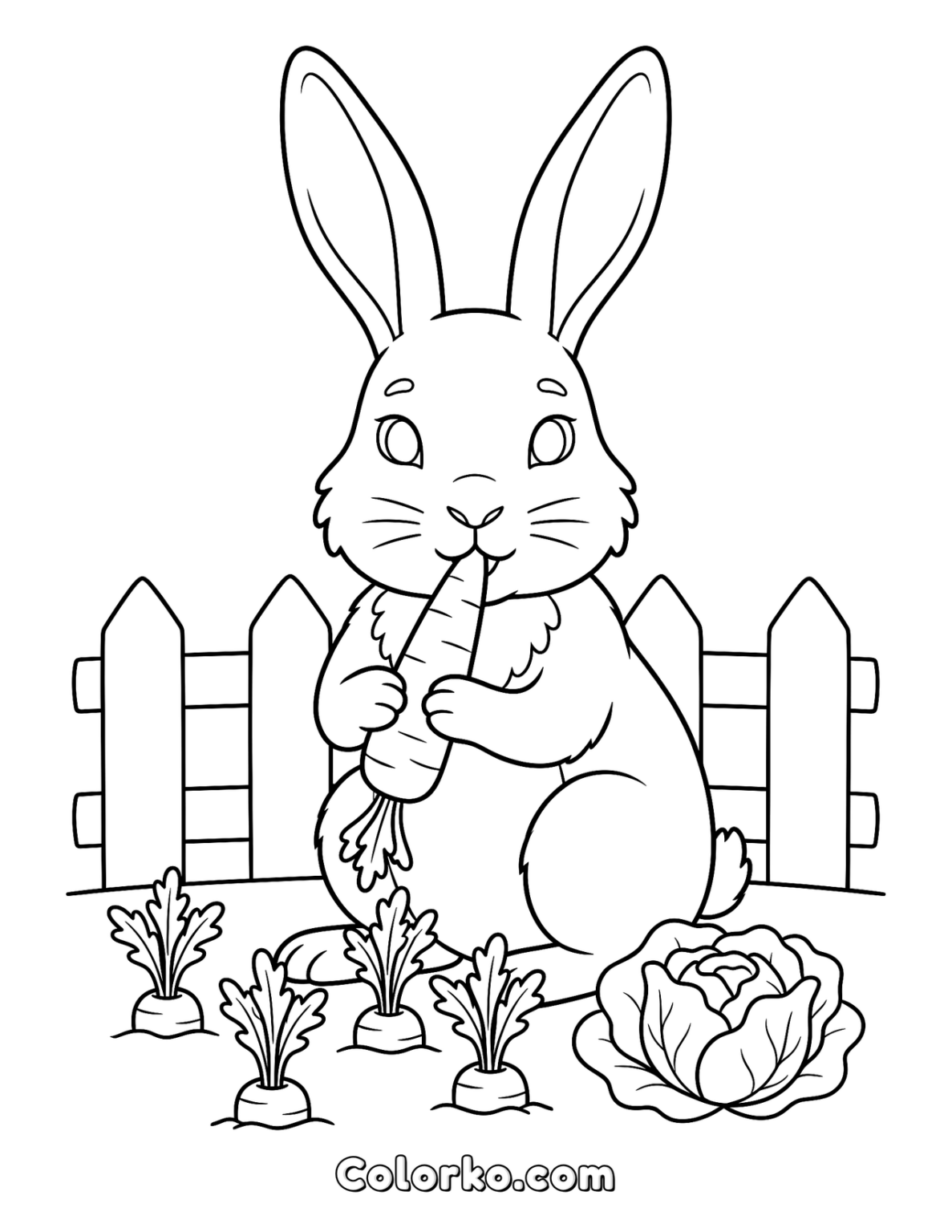 Rabbit Coloring Page — Garden Carrot (Free) | Colorko